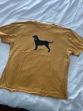 The Black Dog Yellow Boston ( Bruins) Graphic Tee